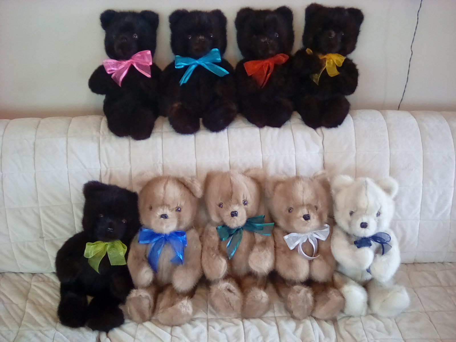 Bears from multiple fur types & colors